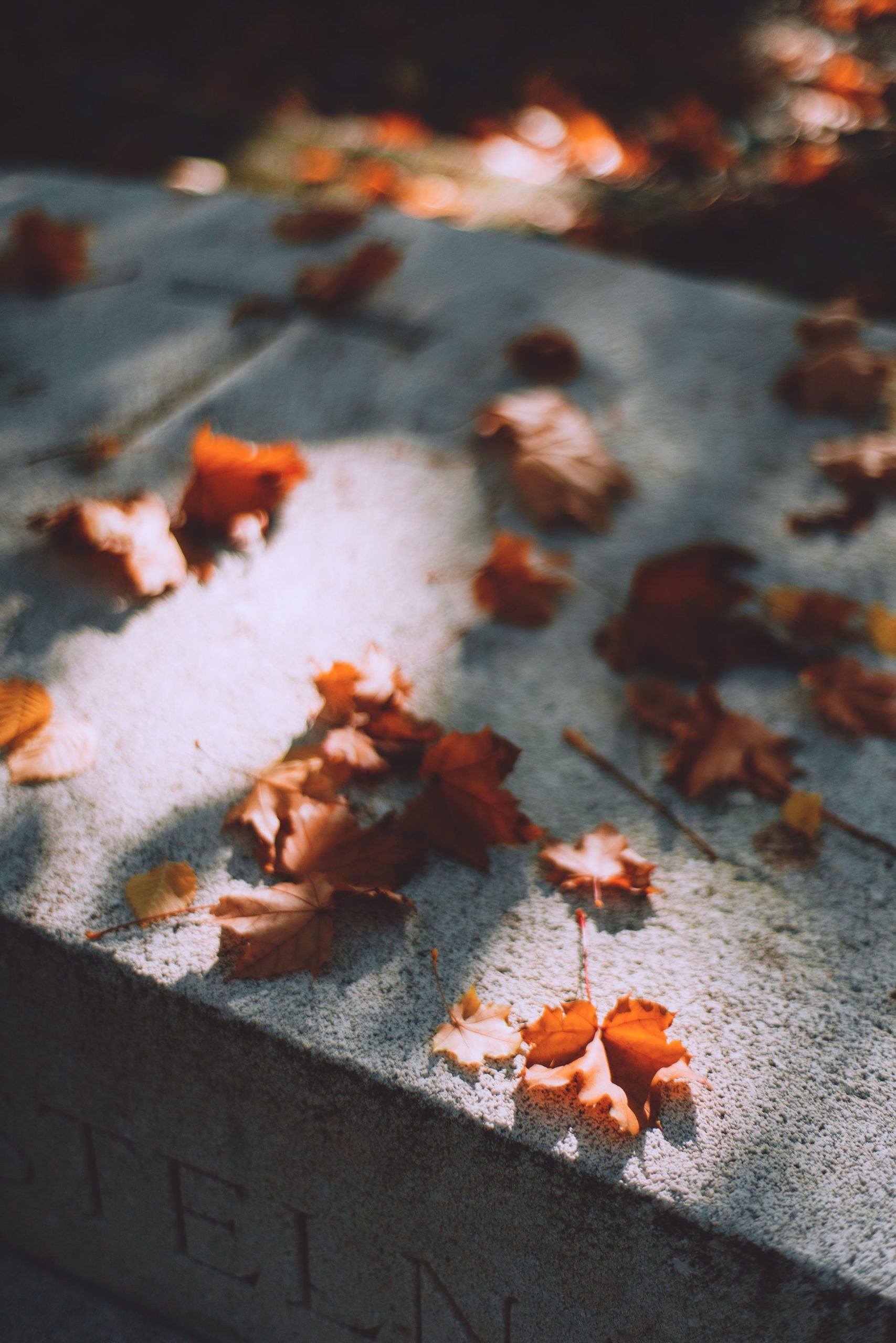 Deuil__pexels-maria-orlova-4913396
