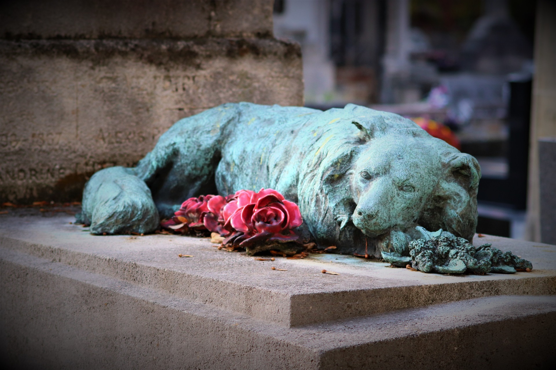 animal cemetery-3799038_1920